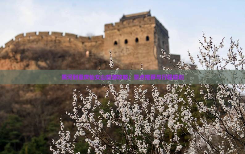 黑河到重庆仙女山旅游攻略：景点推荐与行程规划