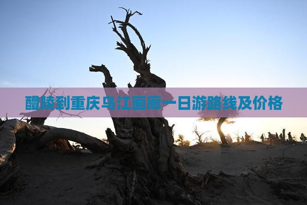 醴陵到重庆乌江画廊一日游路线及价格