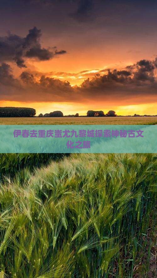 伊春去重庆蚩尤九黎城探索神秘古文化之旅