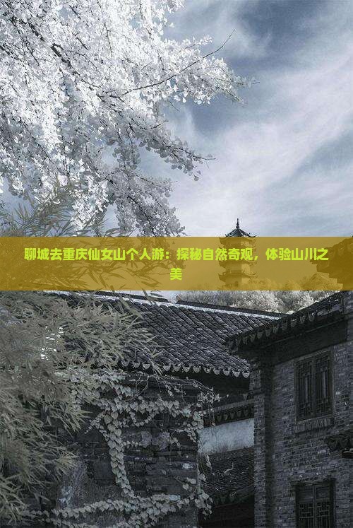 聊城去重庆仙女山个人游：探秘自然奇观，体验山川之美