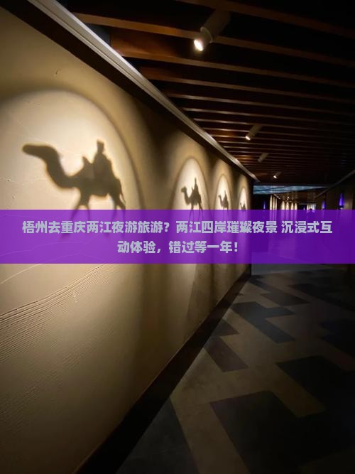 梧州去重庆两江夜游旅游