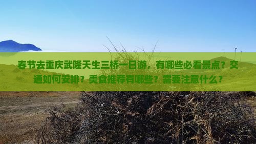 春节去重庆武隆天生三桥一日