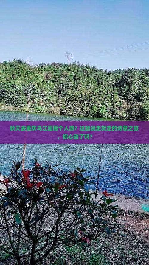 秋天去重庆乌江画廊个人游