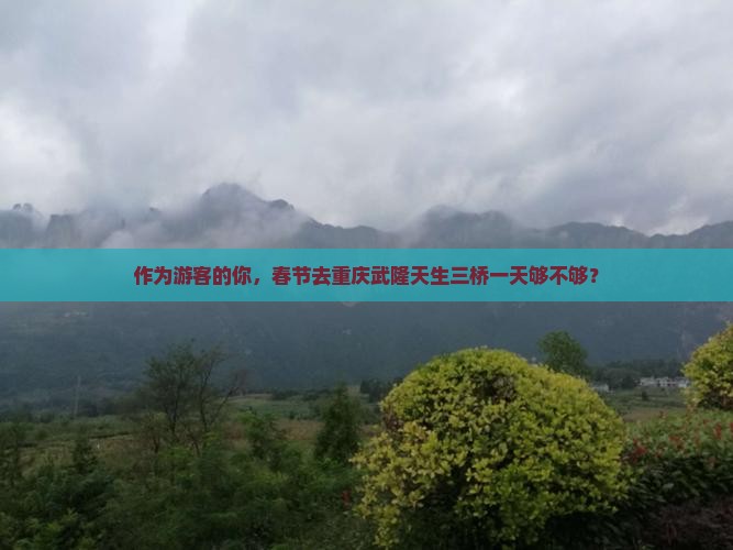 春节到重庆武隆天生三桥一日