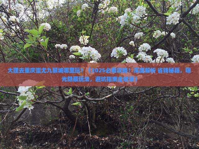 大理去重庆蚩尤九黎城哪里玩