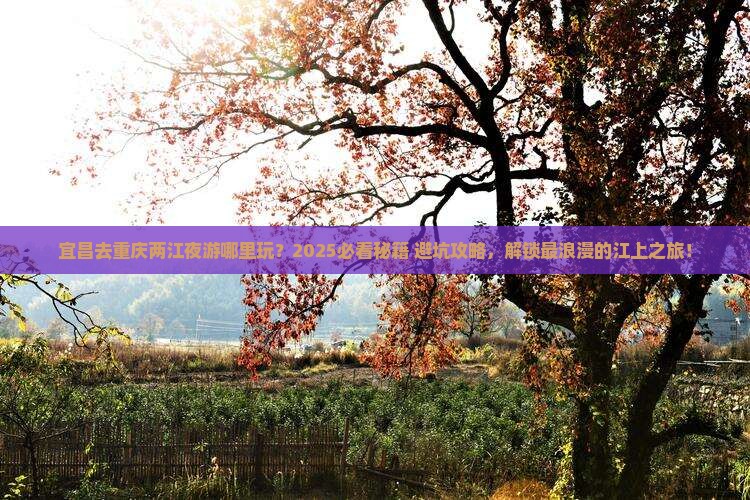宜昌去重庆两江夜游哪里玩