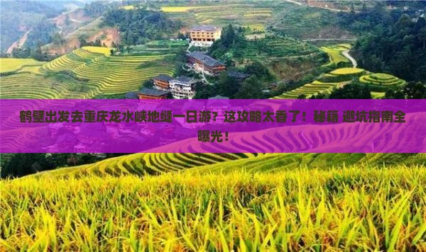 鹤壁去重庆龙水峡地缝一日