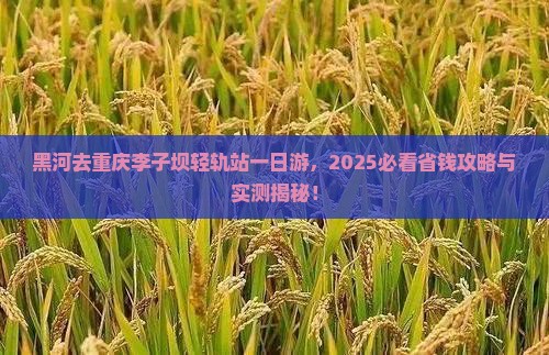 黑河去重庆李子坝轻轨站一日 黑河去重庆李子坝轻轨站一日