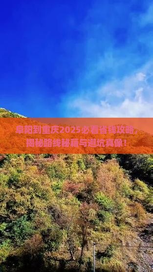 阜阳到重庆攻略