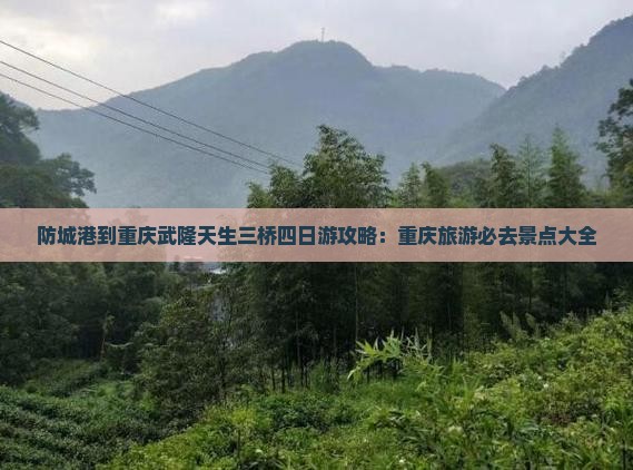 防城港到重庆武隆天生三桥四日游