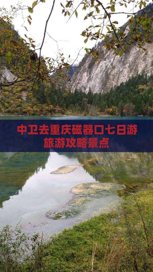 中卫去重庆磁器口七日游