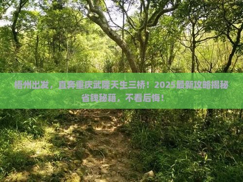 梧州去重庆武隆天生三桥旅游