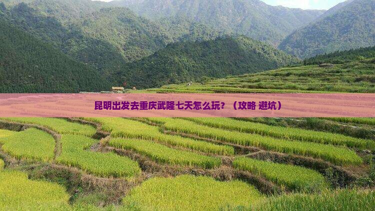 昆明去重庆武隆七日游