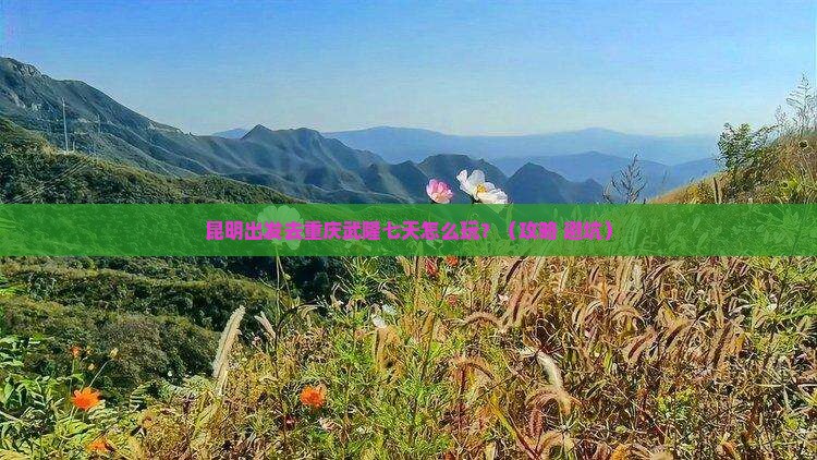 昆明去重庆武隆七日游