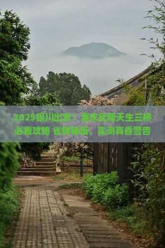 银川去重庆武隆天生三桥景点