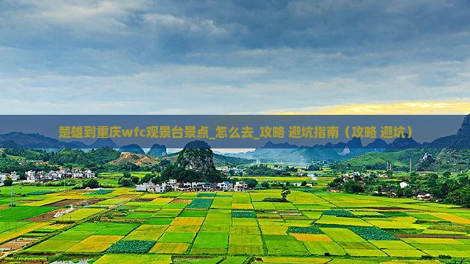 楚雄到重庆wfc观景台景点