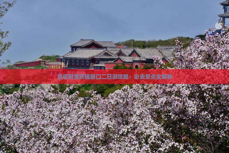 吕梁到重庆磁器口二日游