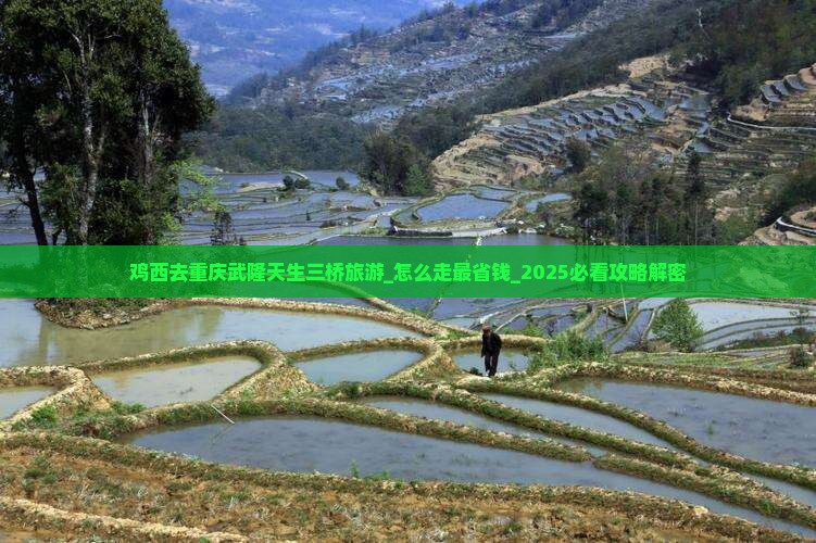 鸡西去重庆武隆天生三桥旅游