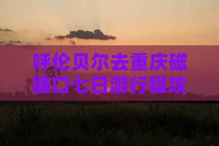 呼伦贝尔去重庆磁器口七日游