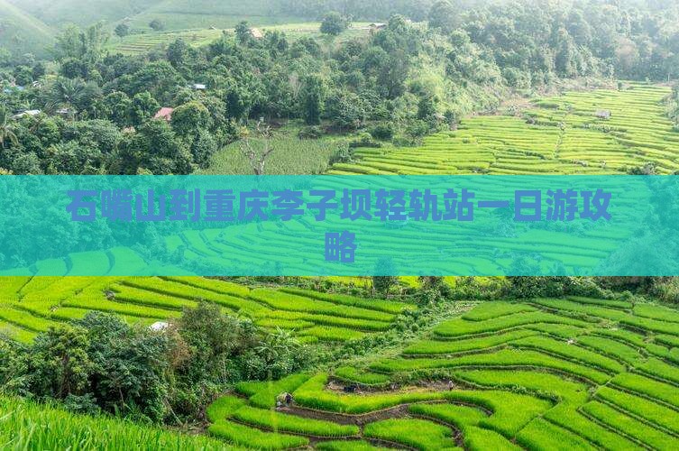石嘴山到重庆李子坝轻轨站一日