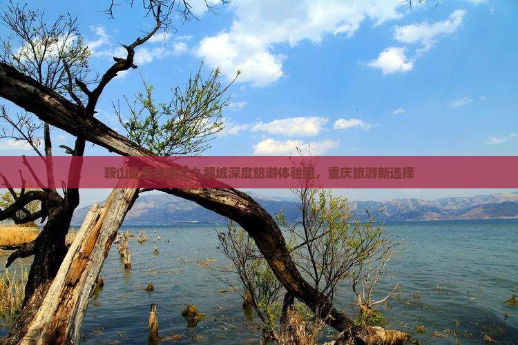 鞍山去重庆蚩尤九黎城大型旅游团