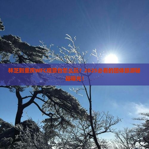 林芝到重庆wfc观景台团体旅游