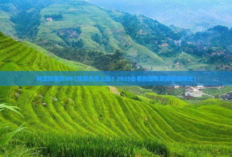 林芝到重庆wfc观景台团体旅游