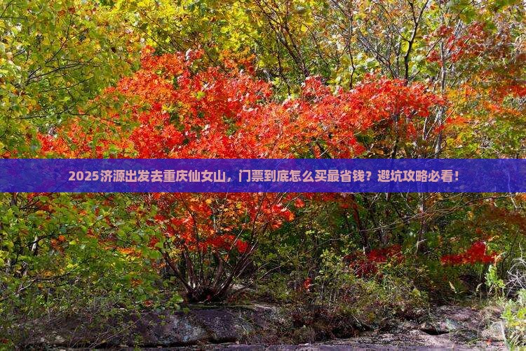 济源到重庆仙女山门票
