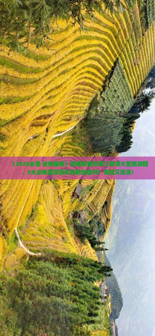 陇南到重庆两江夜游大型旅游团