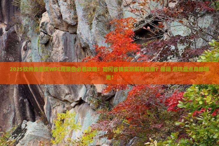 钦州去重庆wfc观景台攻略