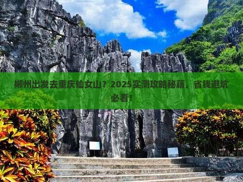 郴州去重庆仙女山个人游
