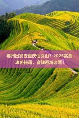 郴州去重庆仙女山个人游
