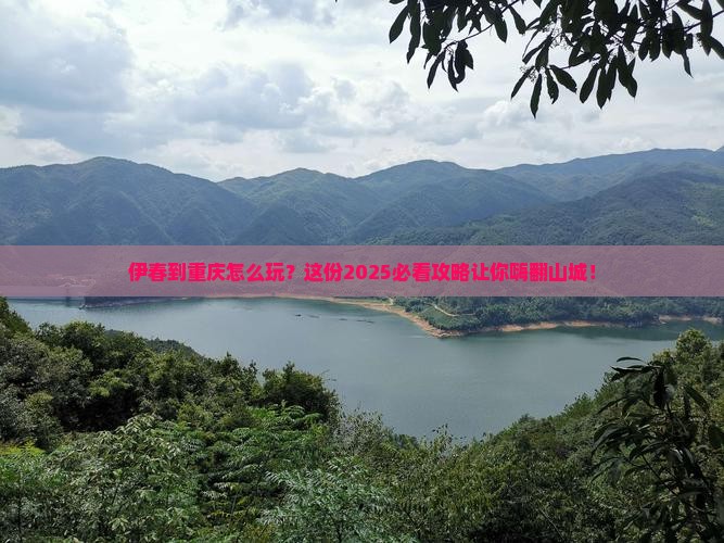 伊春到重庆哪里玩