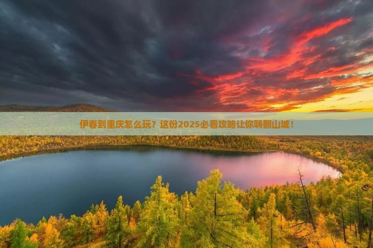 伊春到重庆哪里玩