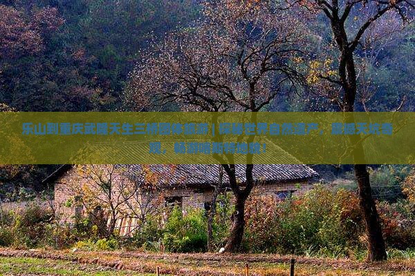 乐山到重庆武隆天生三桥团体旅游