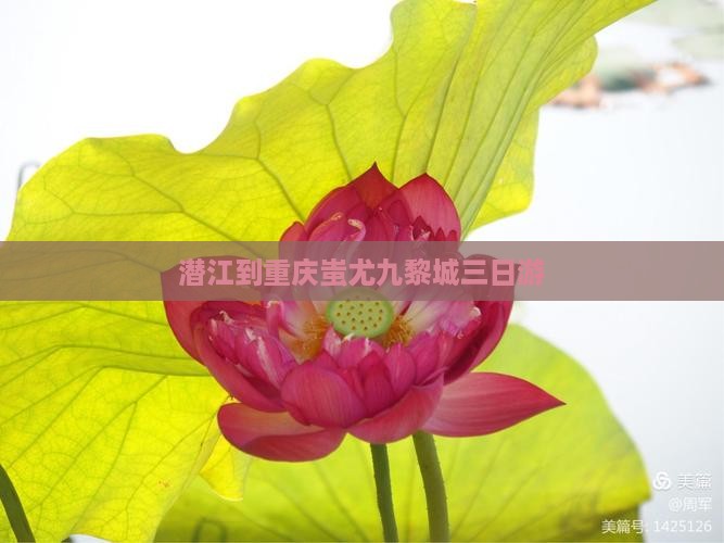 潜江到重庆蚩尤九黎城三日游