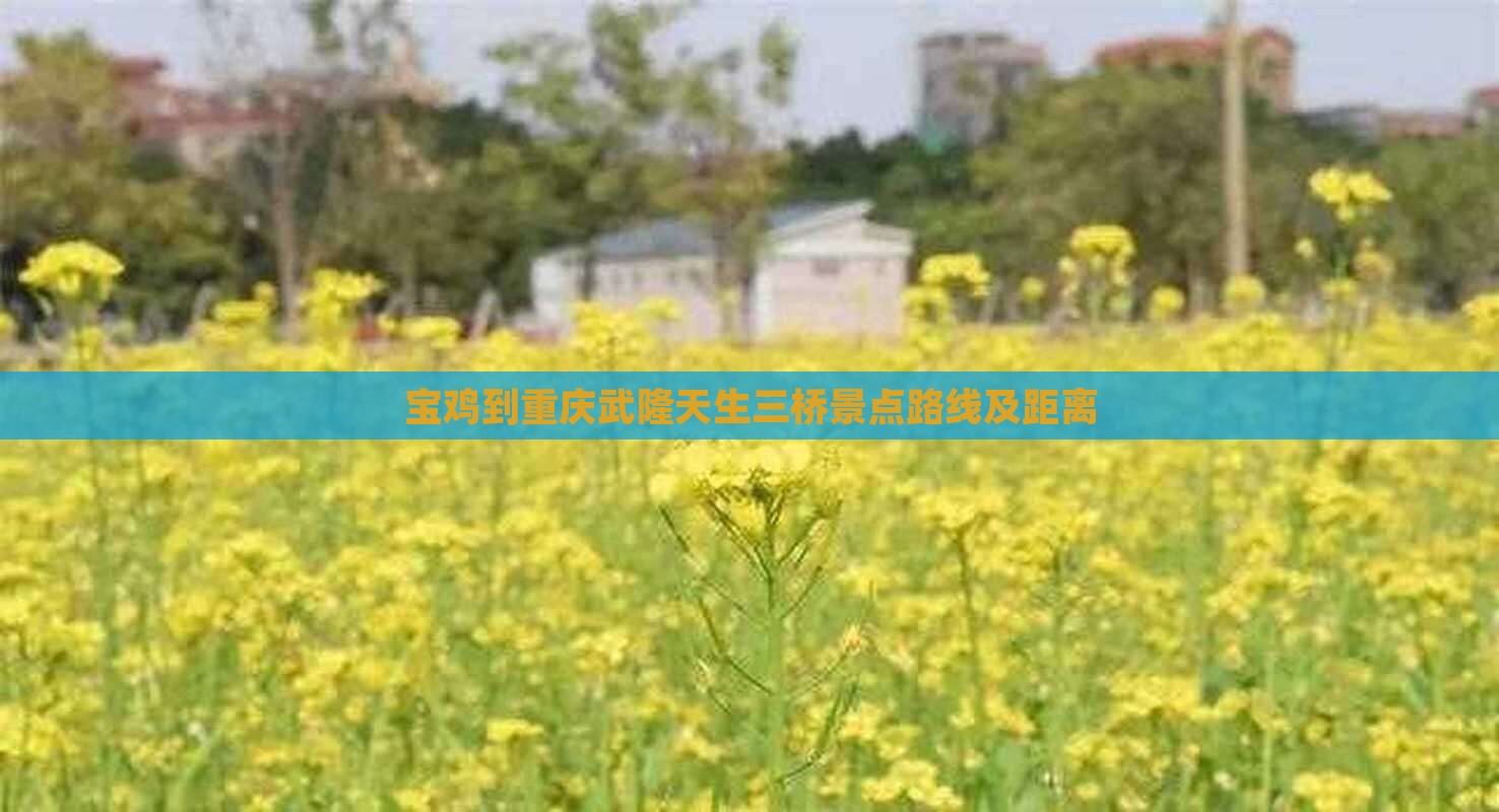 宝鸡到重庆武隆天生三桥景点路线及距离