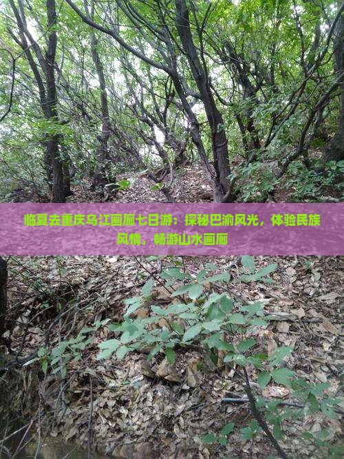 临夏去重庆乌江画廊七日游：探秘巴渝风光，体验民族风情，畅游山水画廊