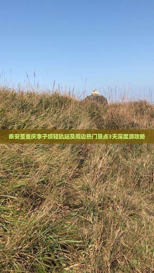 泰安至重庆李子坝轻轨站及周边热门景点3天深度游攻略