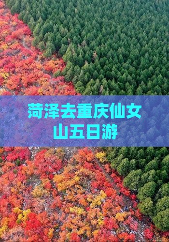 菏泽去重庆仙女山五日游