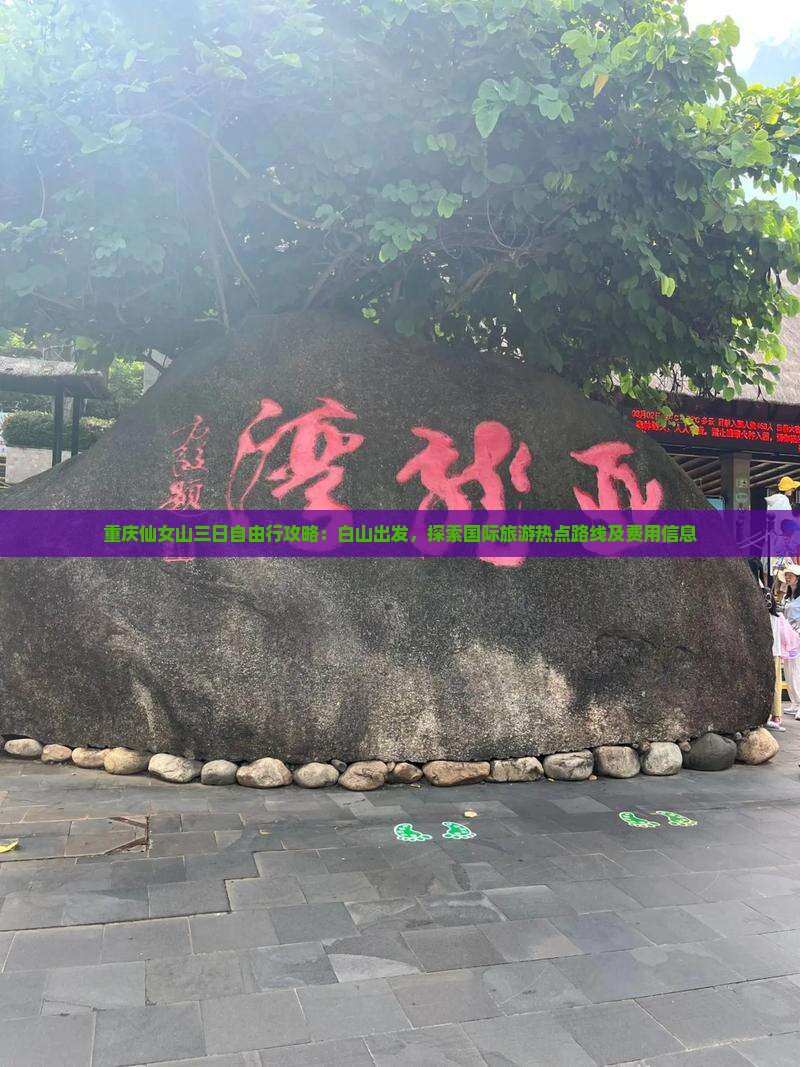 重庆仙女山三日自由行攻略：白山出发，探索国际旅游热点路线及费用信息