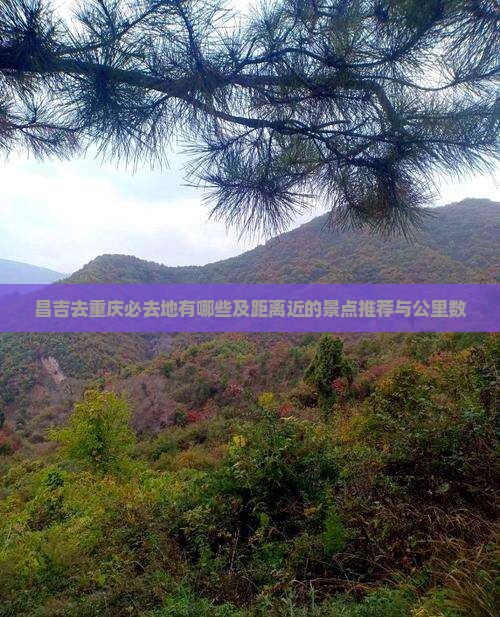 昌吉去重庆必去地有哪些及距离近的景点推荐与公里数