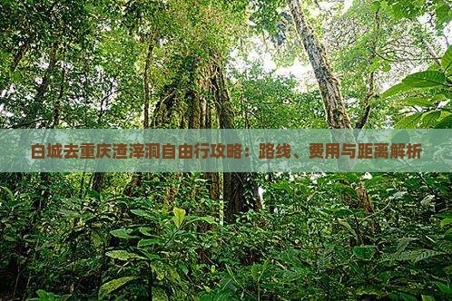 白城去重庆渣滓洞自由行攻略：路线、费用与距离解析