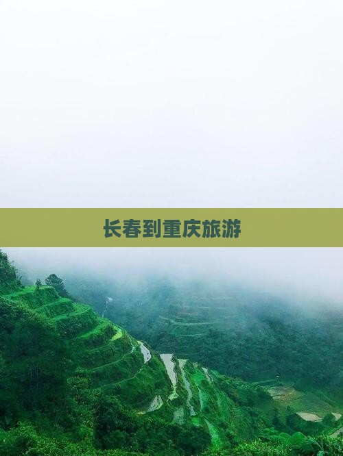 长春到重庆旅游