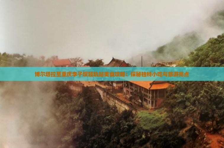 博尔塔拉至重庆李子坝轻轨站美食攻略：探秘独特小吃与旅游亮点