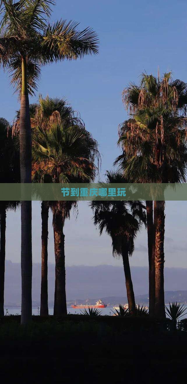 节到重庆哪里玩