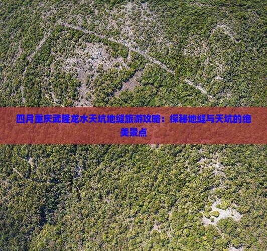 四月重庆武隆龙水天坑地缝旅游攻略：探秘地缝与天坑的绝美景点