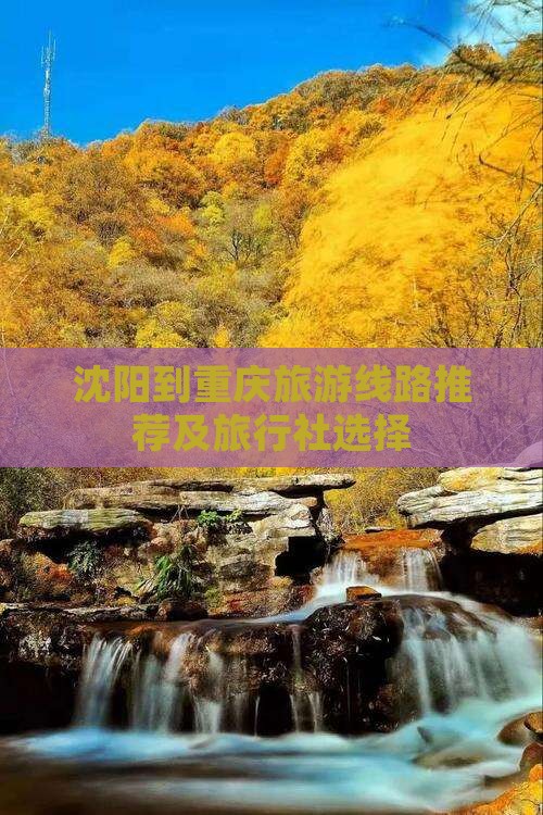 沈阳到重庆旅游线路推荐及旅行社选择