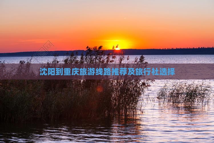 沈阳到重庆旅游线路推荐及旅行社选择