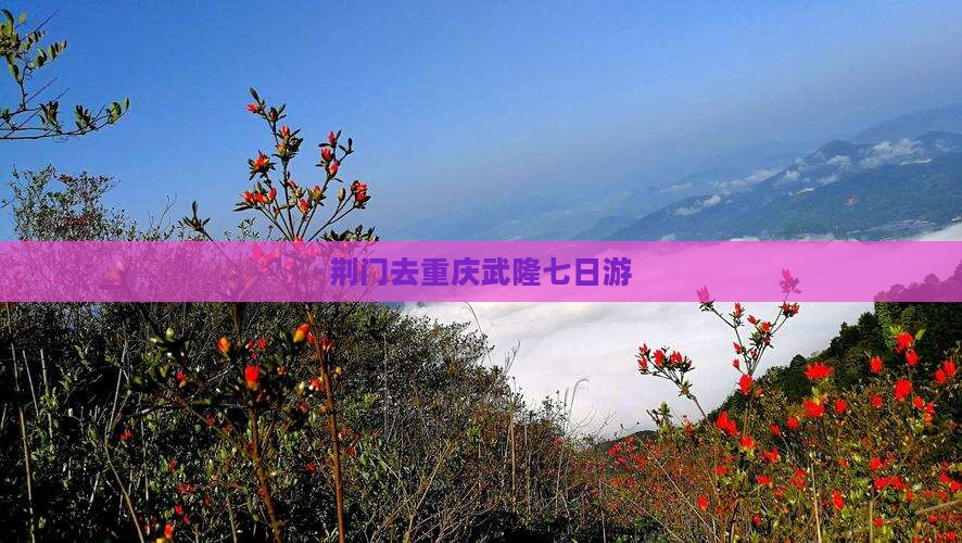荆门去重庆武隆七日游